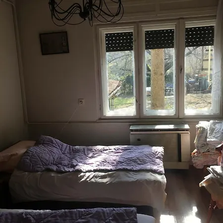 Hostel Leander-sziget Veszprem